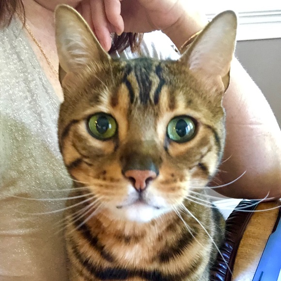 COMMENTS FULL! - Picture 4 of 8